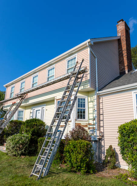 Best Wood Siding Installation  in Clara City, MN